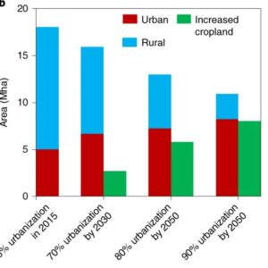 Read more about the article Urbanization can benefit agricultural production