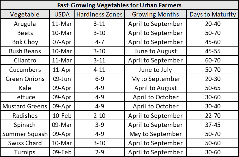 List of fast-growing vegetables to grow in a small urban farm